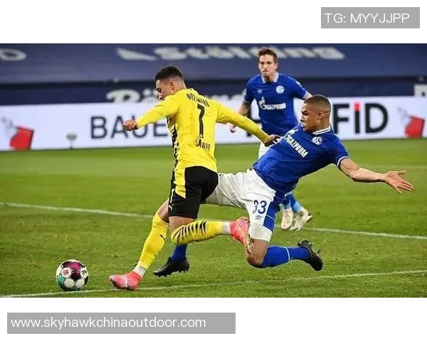 沙尔克04横扫德甲联赛开门红击败所有对手连胜14场